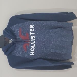Mens Small Hollister Hoodie
